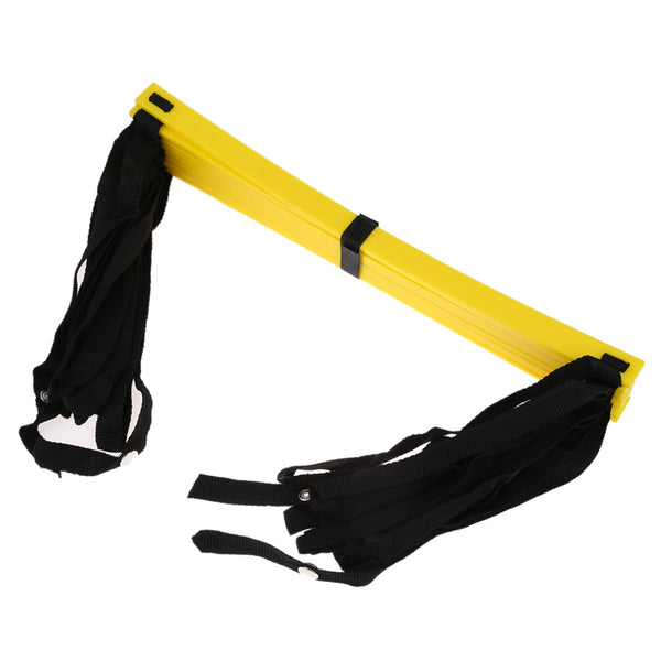 Agility Training Ladder