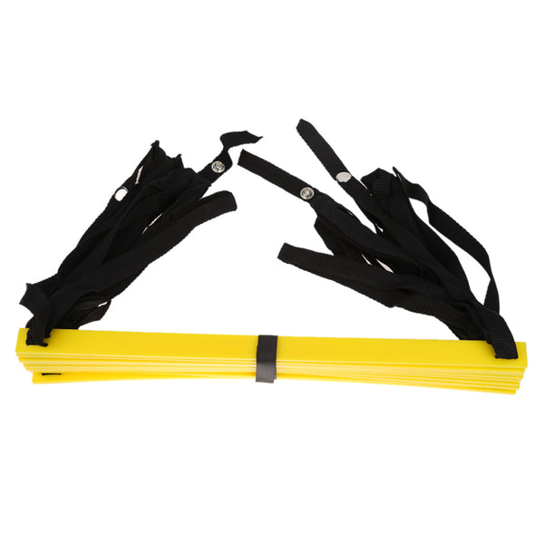 Agility Training Ladder